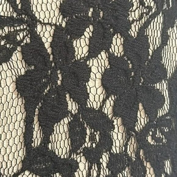 Ted Baker London Briony Black Nude Lace Top Bodycon Mini Dress.  SZ US 2/TB 0 - Picture 4 of 4